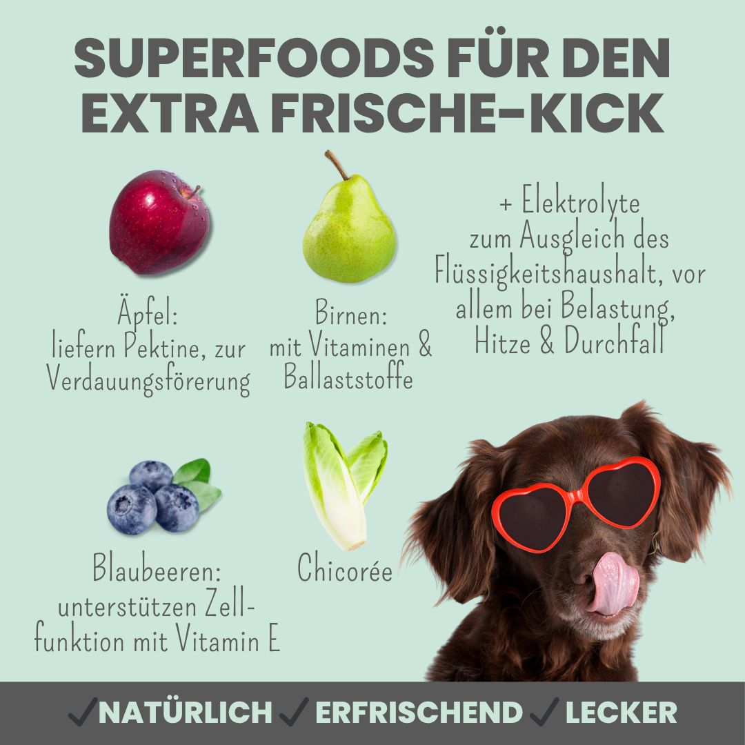 Hunde Smoothie-Bowl: Der fruchtig frische Elektrolyt-Booster