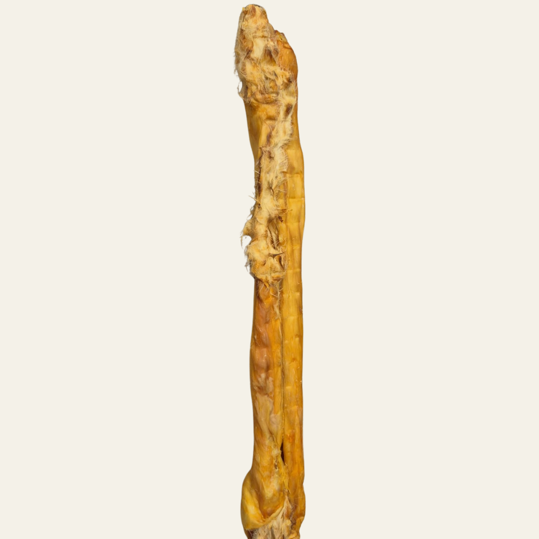Kaninchenrückenhaut mit Fell (ca. 45 cm) – natürlicher Kausnack