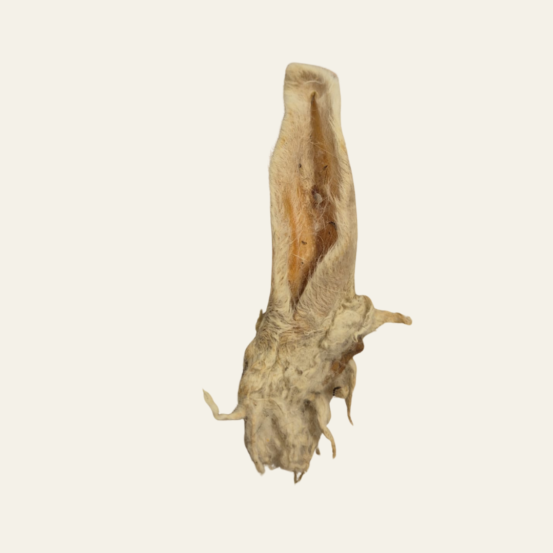 Lammohr mit Fell – natürlicher Kausnack
