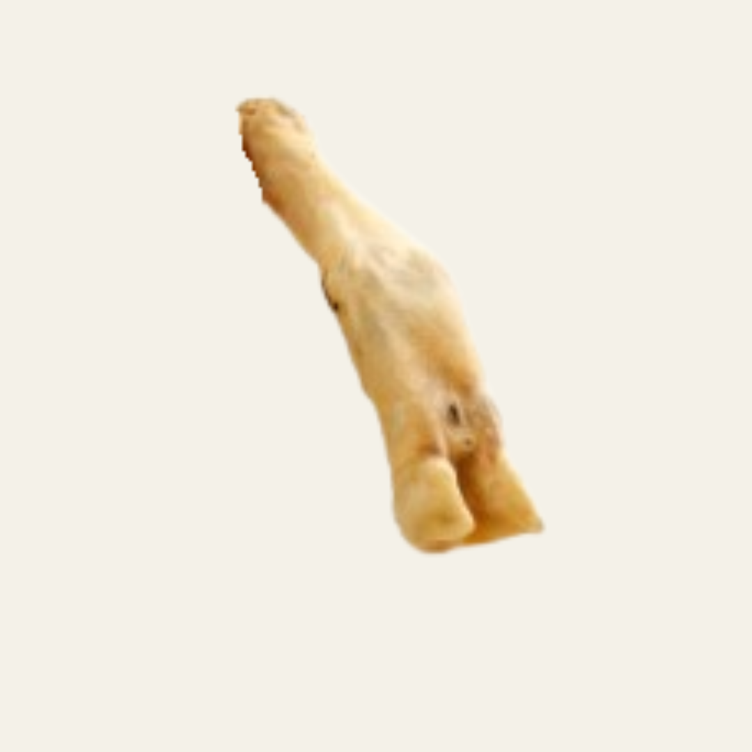 Lamm-Unterbeine – naturbelassener Langzeit-Kausnack aus 100 % Lamm