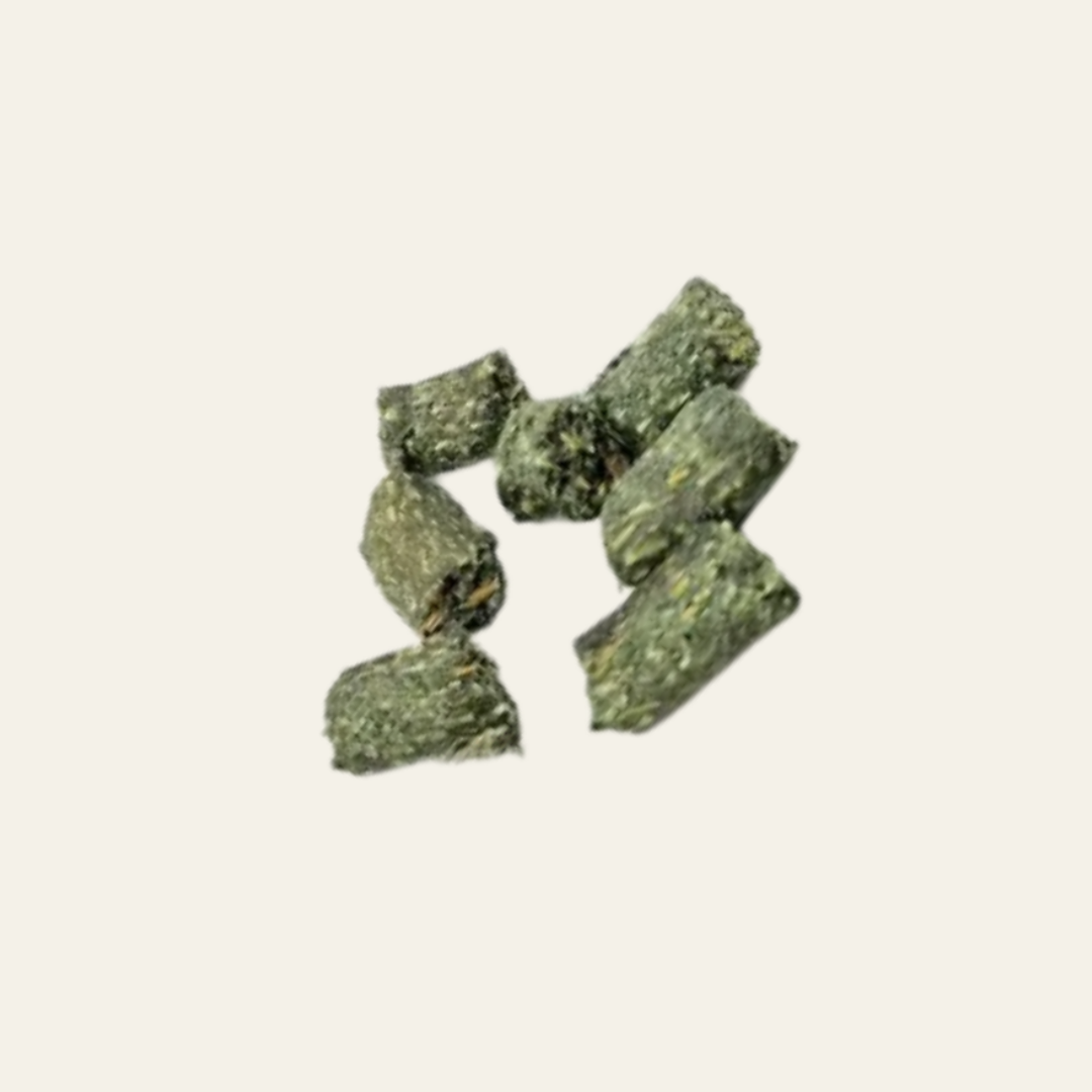 Minis Spirulina – vegane, getreidefreie Trainingshappen für Hunde