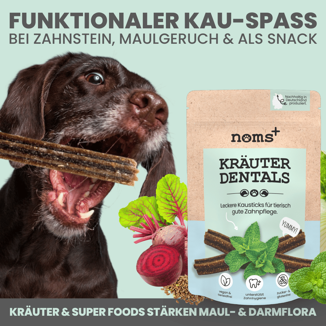 Kräuter Dentals für Hunde zur Zahn- und Darmpflege (150g)