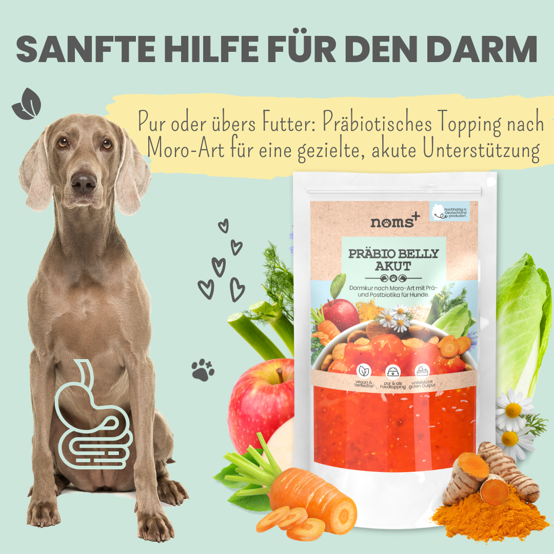 Präbio Belly Akut: pflanzenbasierte Darmkur für Hunde nach Moro-Art