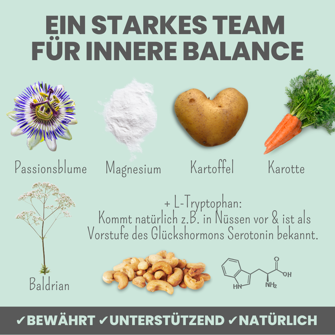 Wohlfühlsnacks für Hunde – mit Baldrian, Passionsblume & L-Tryptophan