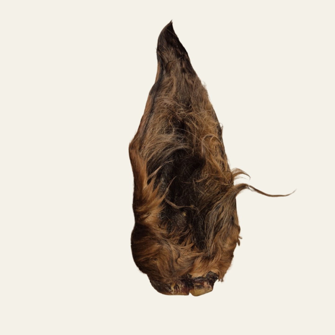 Pferdeohr mit Fell – hypoallergener Naturkauartikel