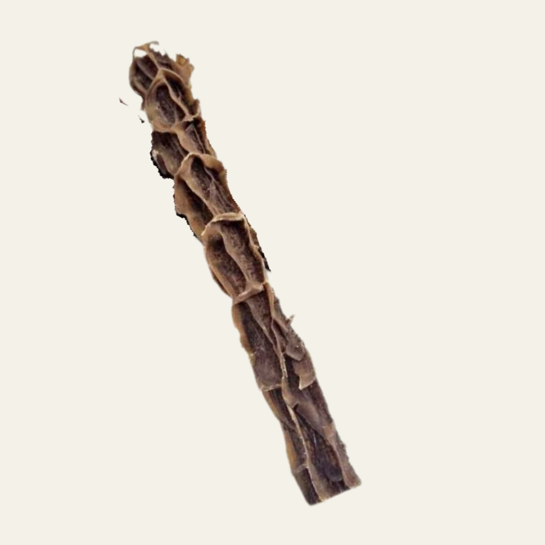 Rinderpansen knusprig getrocknet – 100% Natur-Kauartikel für gesunde Beschäftigung & Zahnpflege