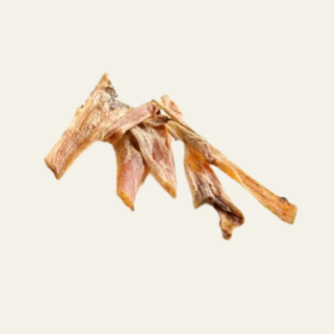 Straußensehnen flach (100 g) – proteinreich, fettarm & hypoallergen