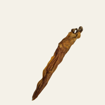 Wildschwein-Rückenhaut – kräftiger Kauspaß aus der Natur