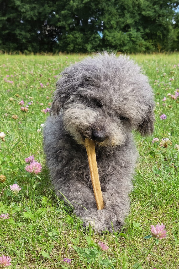 Natürliche Veggie-Snacks