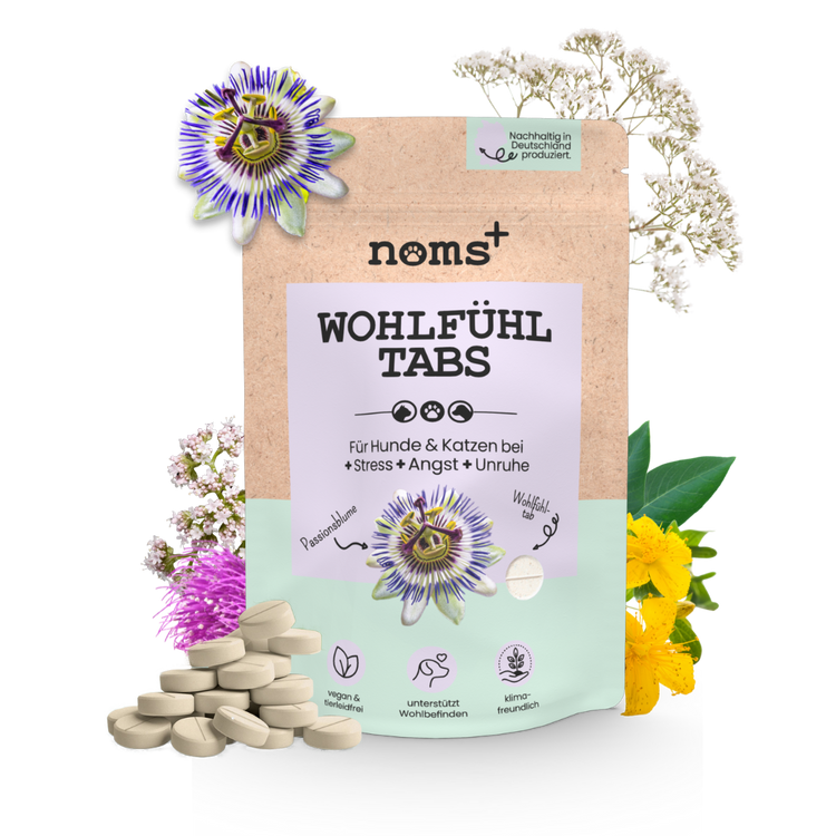 NOMS+ für Gesundheit & Wohlbefinden