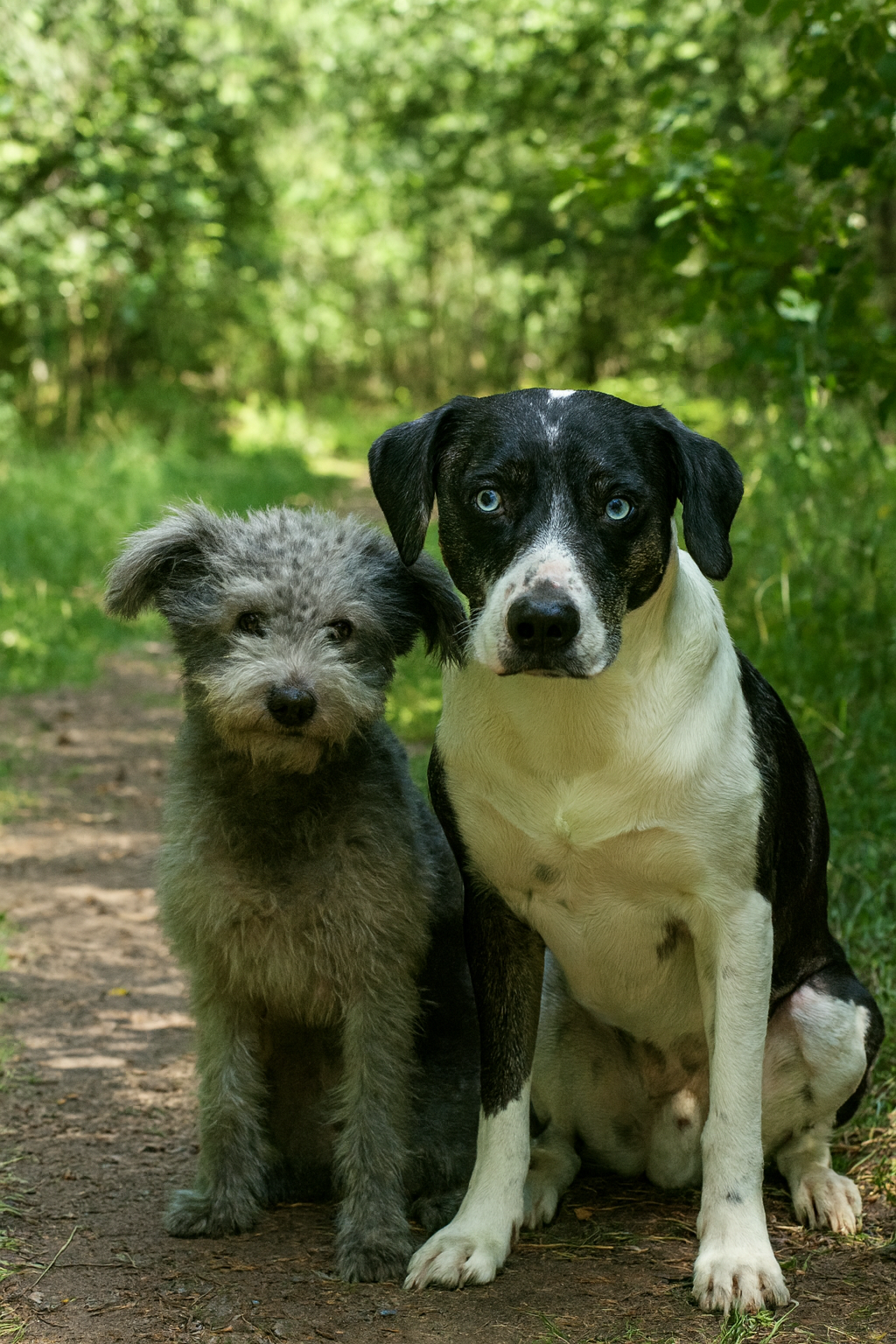 Rentier – Wild. Ursprünglich. Besonders.