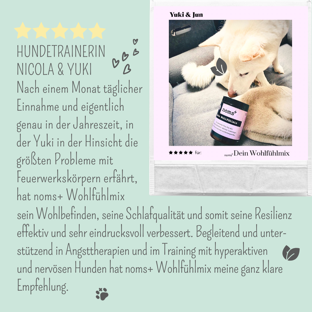 Wohlfühlmix für Hunde bei Stress, Angst, Unruhe und Hyperaktivität