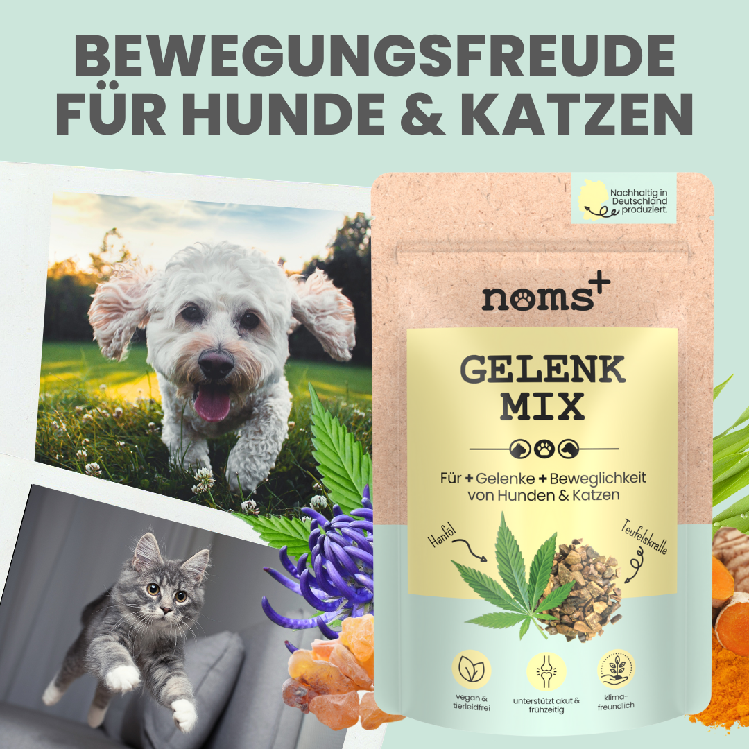 Gelenkmix Sensitiv & vegan für Hunde und Katzen mit Teufelskralle, Kurkuma & Glucosamin