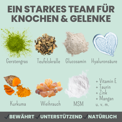 Noms+ Gelenk-Komplex für Hunde – Natürliche Unterstützung für die Gelenke