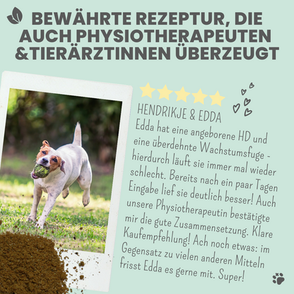 Gelenkmix Sensitiv & vegan für Hunde und Katzen mit Teufelskralle, Kurkuma & Glucosamin