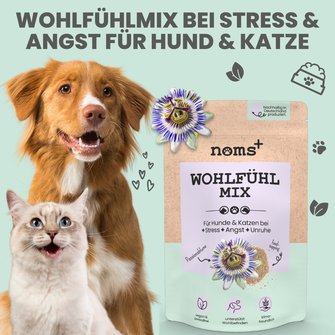 Wohlfühlmix für Hunde bei Stress, Angst, Unruhe und Hyperaktivität
