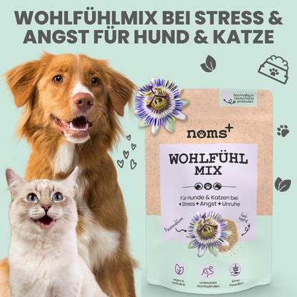 Wohlfühlmix für Hunde bei Stress, Angst, Unruhe und Hyperaktivität