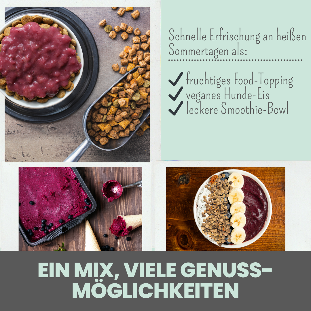 Hunde Smoothie-Bowl: Der fruchtig frische Elektrolyt-Booster