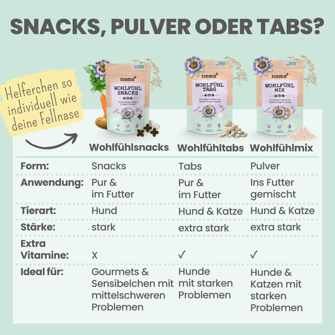 Wohlfühlmix für Hunde bei Stress, Angst, Unruhe und Hyperaktivität