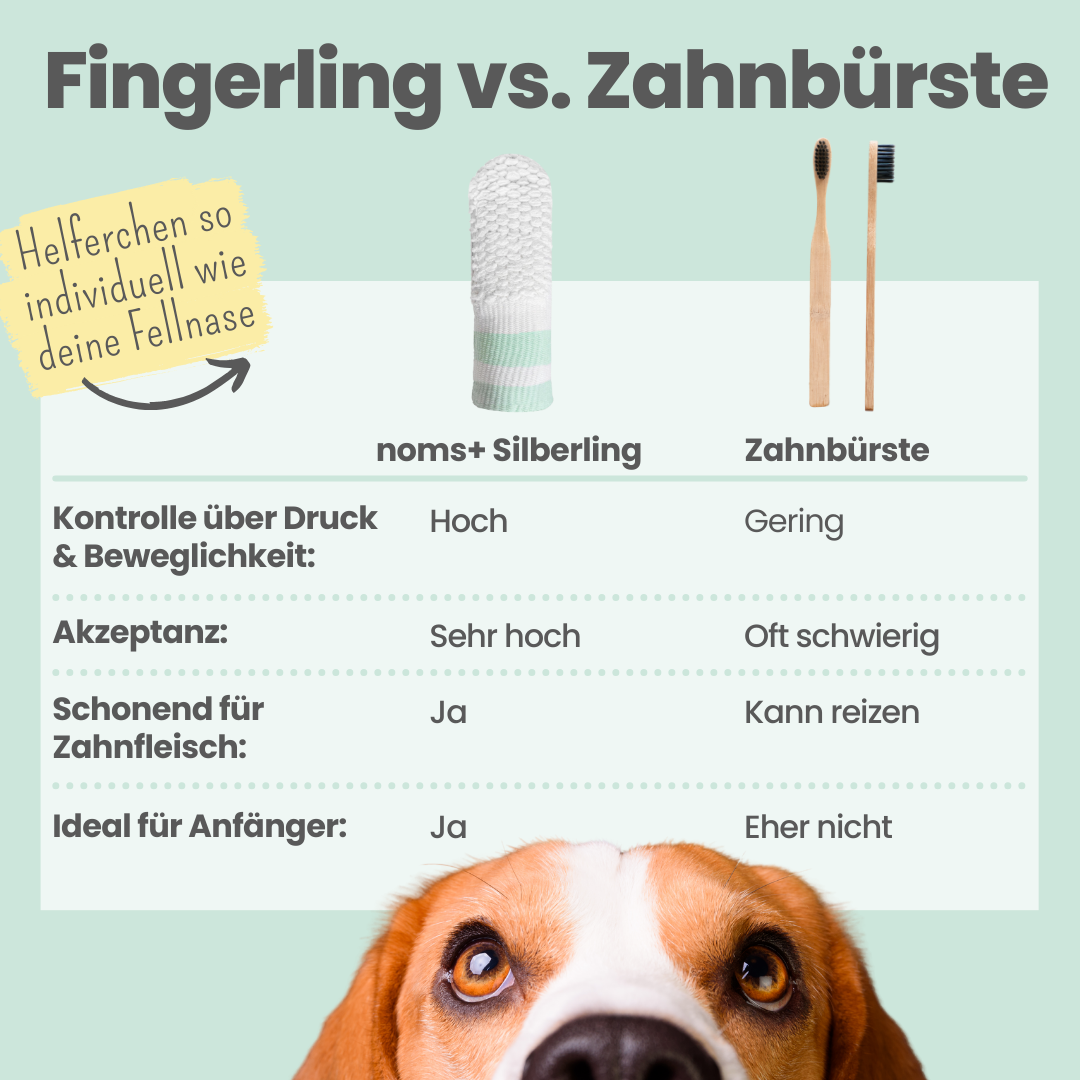 Silberling: Antibakterieller Zahnpflege-Fingerling für Hunde mit Silberionen