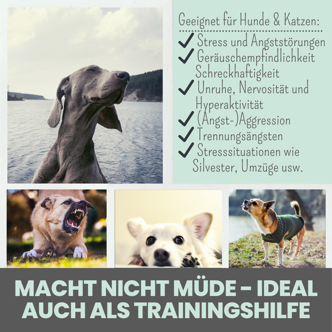 Wohlfühlmix für Hunde bei Stress, Angst, Unruhe und Hyperaktivität
