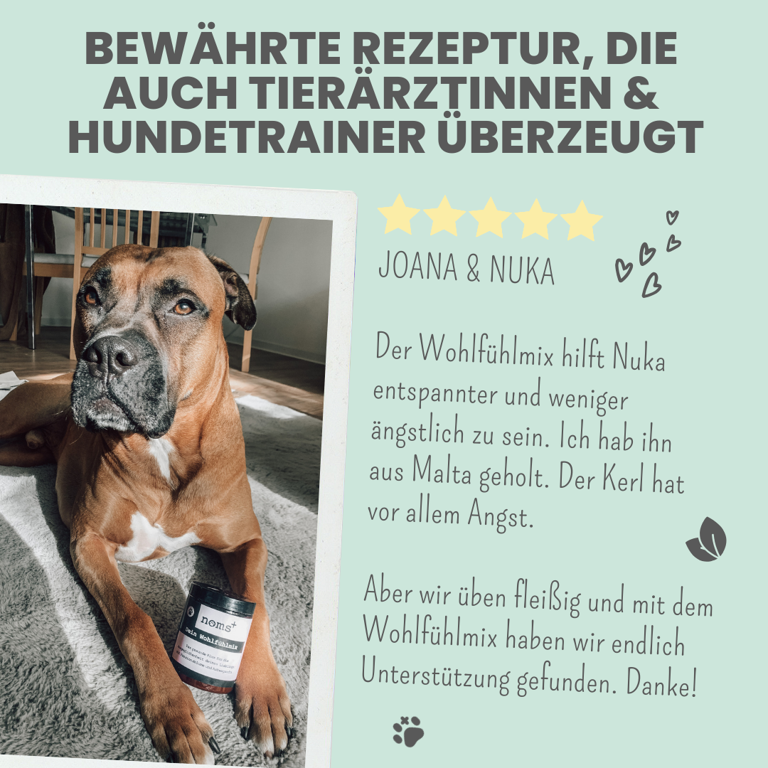Wohlfühlmix für Hunde bei Stress, Angst, Unruhe und Hyperaktivität