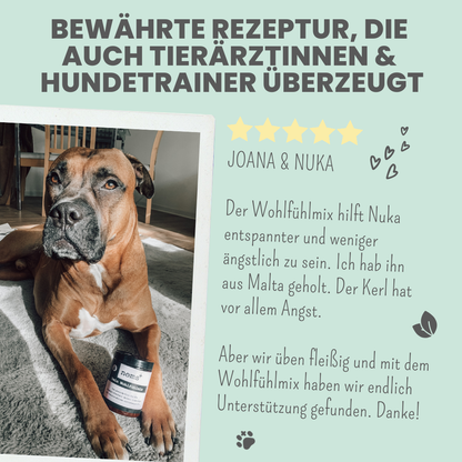 Wohlfühlmix für Hunde bei Stress, Angst, Unruhe und Hyperaktivität