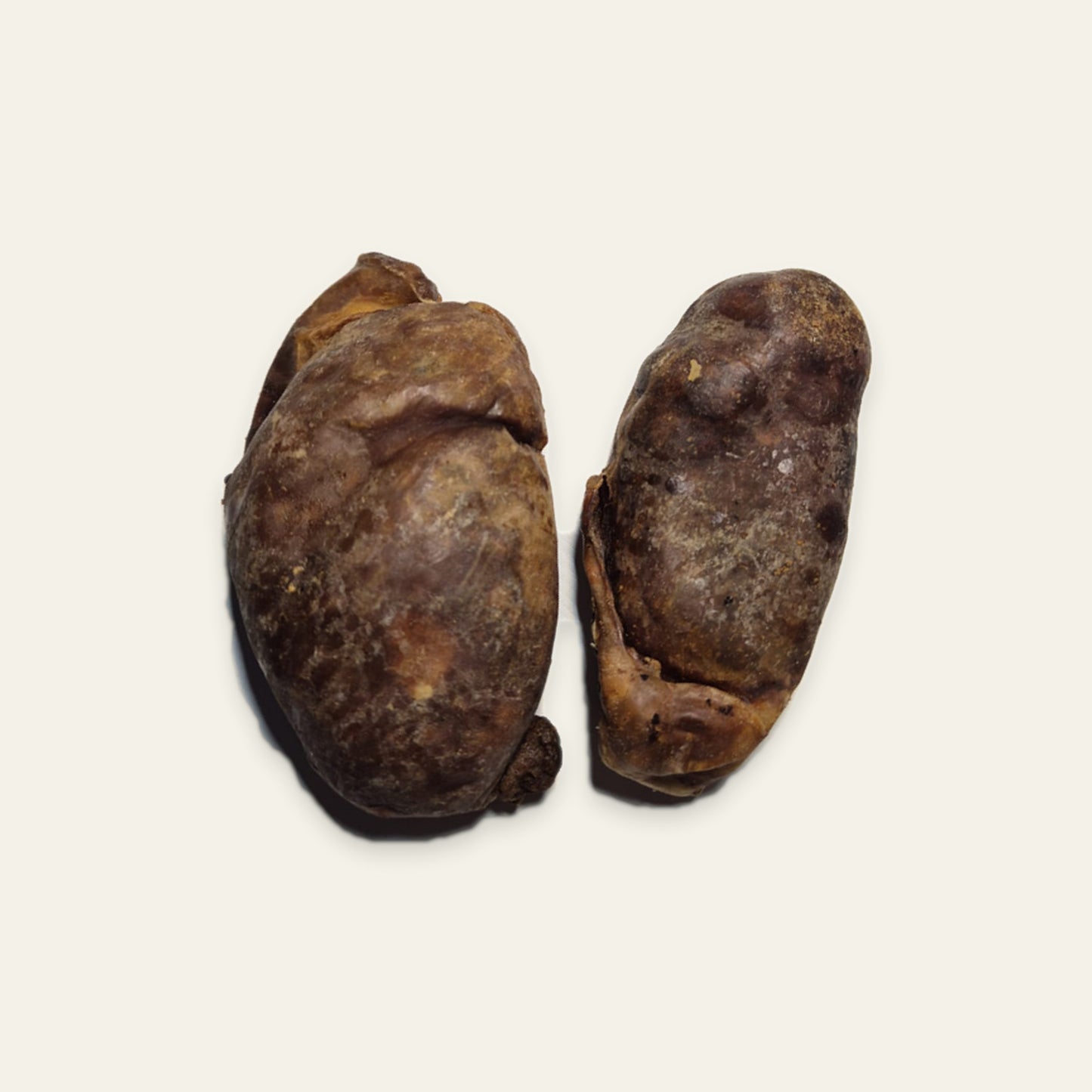 Ganze Bullenhoden – natürlicher Powersnack für aktive Hunde 100g Packung