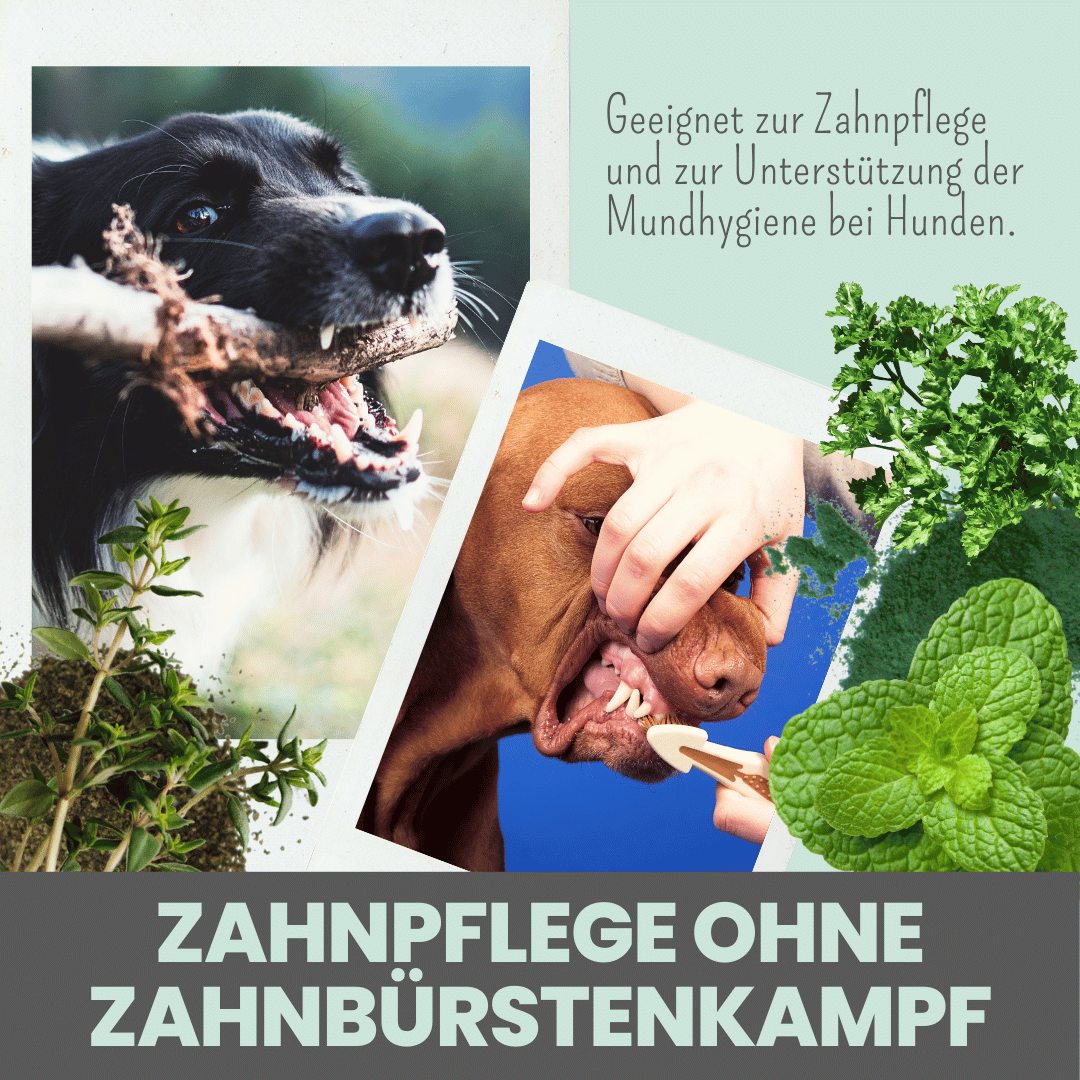Dentalmix für Hunde zur Zahnpflege und für frischen Atem