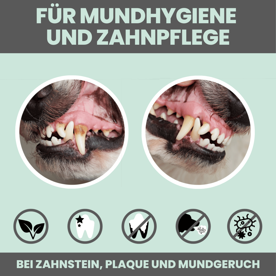 Dentalmix für Hunde zur Zahnpflege und für frischen Atem