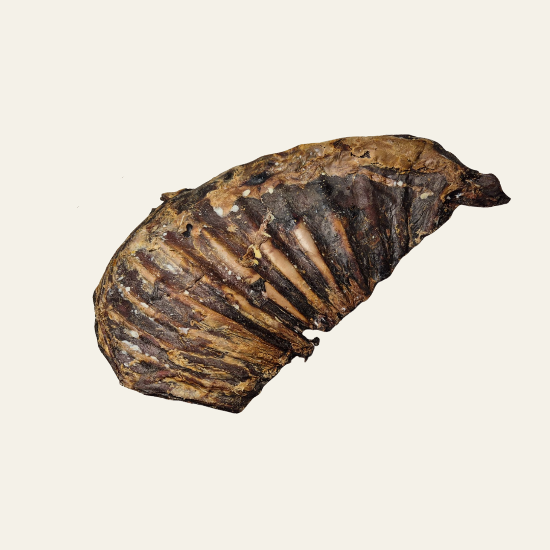 Rehrippen mit Fleisch – naturbelassener Kausnack für sensible Hunde