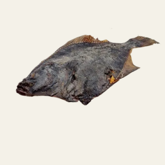 Flunder (Scholle) – ganzer Fisch, schonend luftgetrocknet | knuspriger Kau-Snack mit Omega-3 für mittelgroße & große Hunde