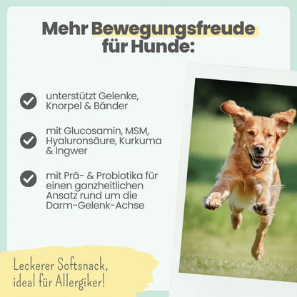 Noms+ Gelenk-Komplex für Hunde – Natürliche Unterstützung für die Gelenke