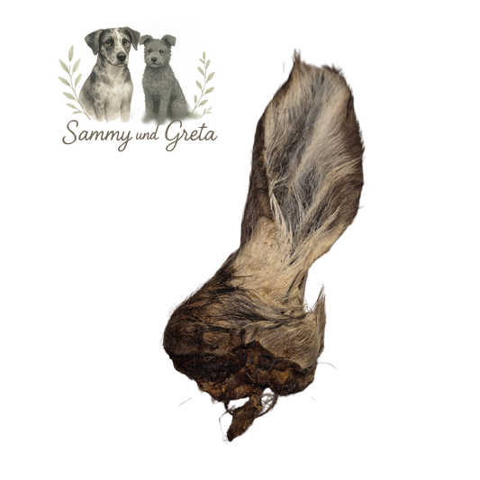 Hirschohren mit Fell – naturbelassener Kauartikel für sensible Hunde & natürliche Zahnpflege