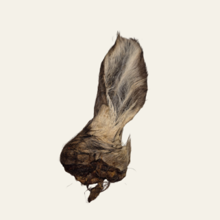 Hirschohren mit Fell – naturbelassener Kauartikel für sensible Hunde & natürliche Zahnpflege