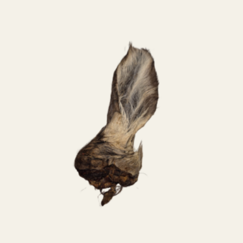 Hirschohr mit Fell – artgerechter Kauspaß & natürliche Zahnpflege