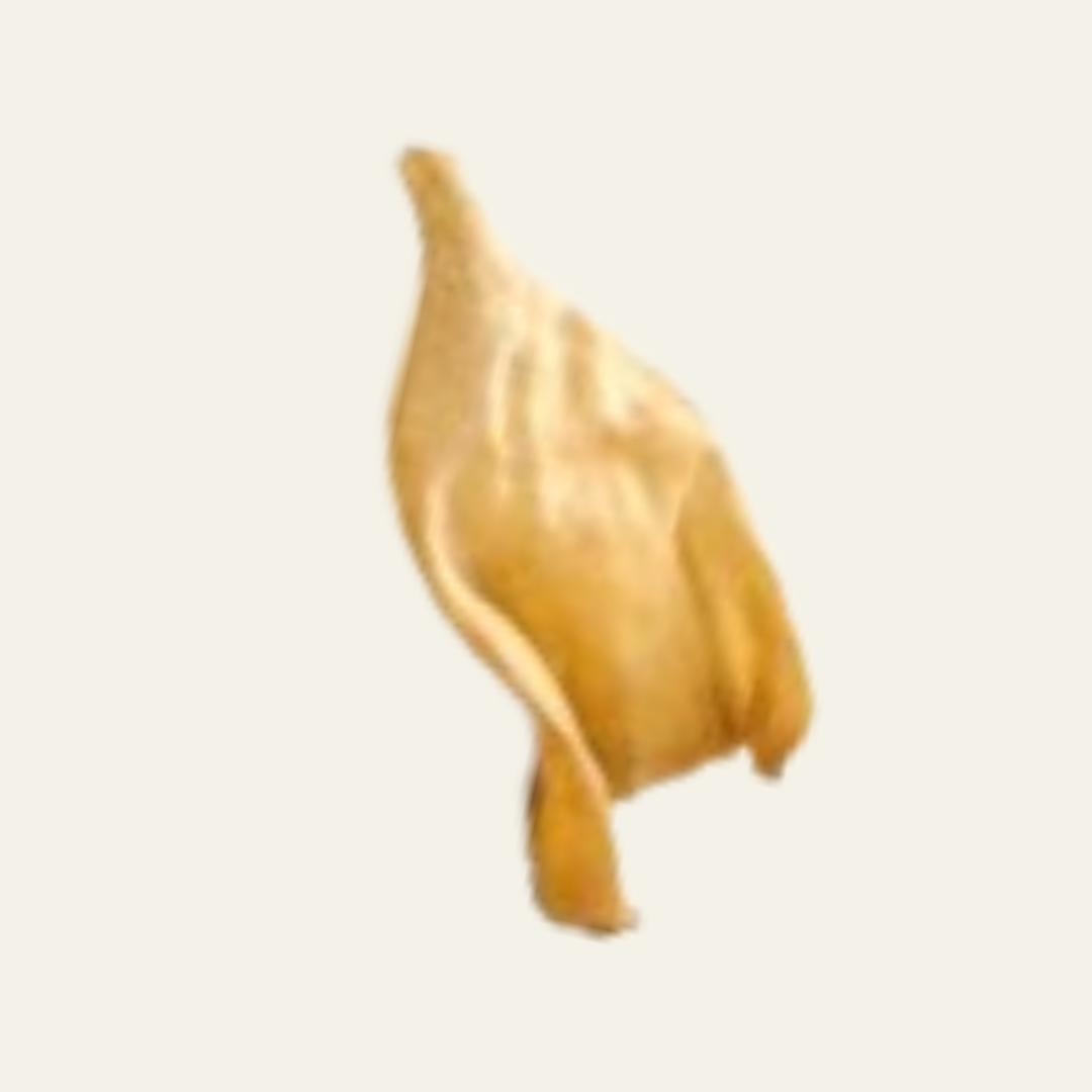 Kalbs-Ohren Gr. S (12–20 cm) – extra harter, proteinreicher Kausnack für langen Kauspaß