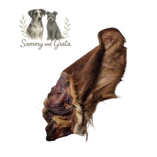 Kalbsohr mit Fell – naturnaher Kausnack mit wertvollen Nährstoffen