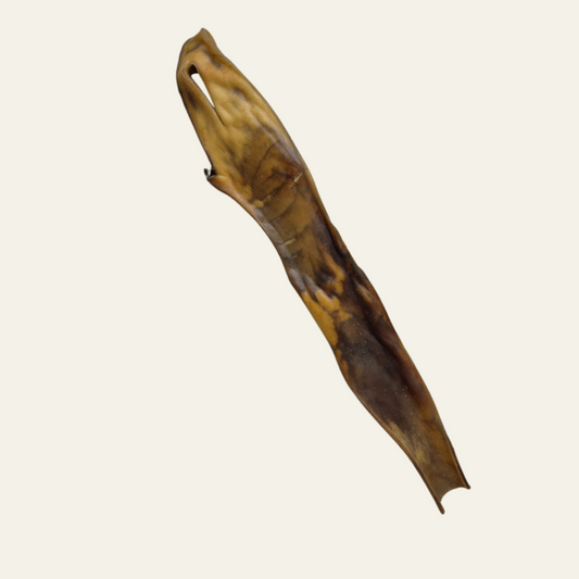 Kamelkopfhaut ca. 40 cm – extra harter Naturkauartikel
