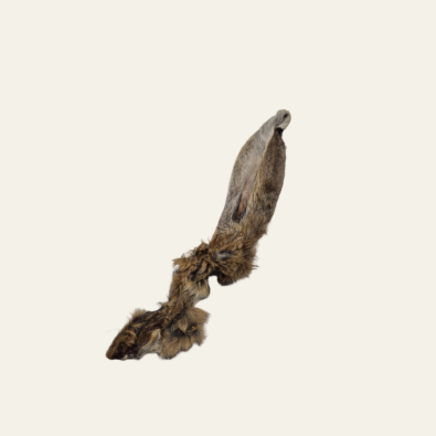 Kaninchenohren mit Fell – artgerechter Kausnack mit Mehrwert