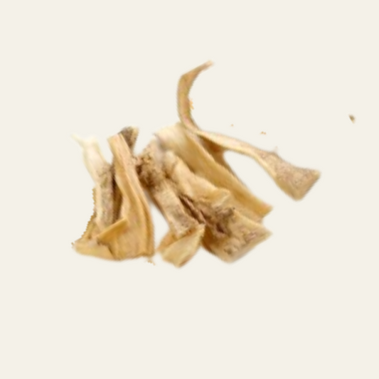 Lamm-Haut, gerollt (100 g) – naturbelassener Kausnack aus 100 % Lamm