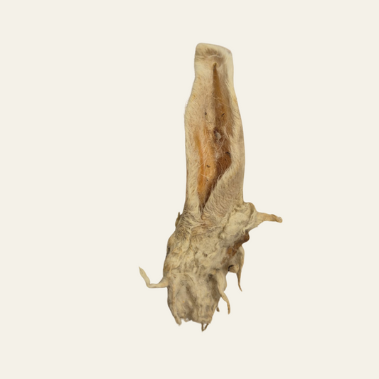 Lammohr mit Fell – natürlicher Kausnack