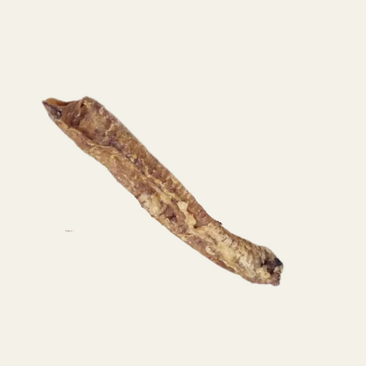 Lammstrossen naturbelassen (10–20 cm) – schonend getrockneter Knorpel-Kauartikel aus 100% Lamm