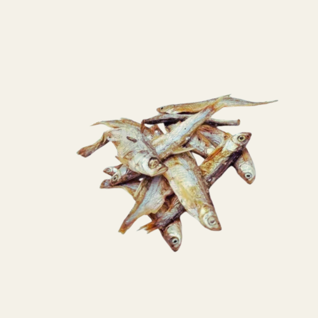 Mini-Karpfen Kauartikel für Hunde – 100% Naturfisch, proteinreich & ideal als Trainingssnack