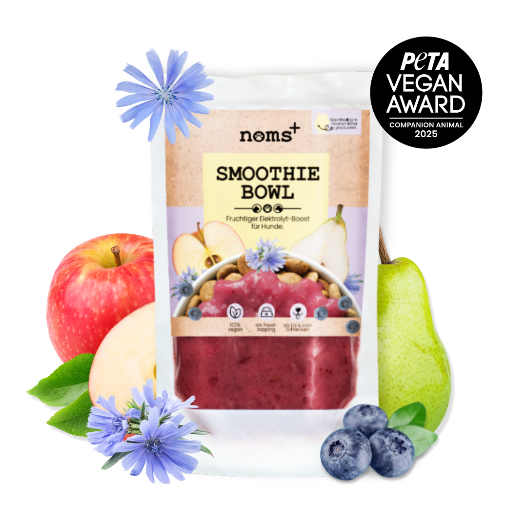 Hunde Smoothie-Bowl: Der fruchtig frische Elektrolyt-Booster