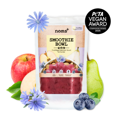 Hunde Smoothie-Bowl: Der fruchtig frische Elektrolyt-Booster