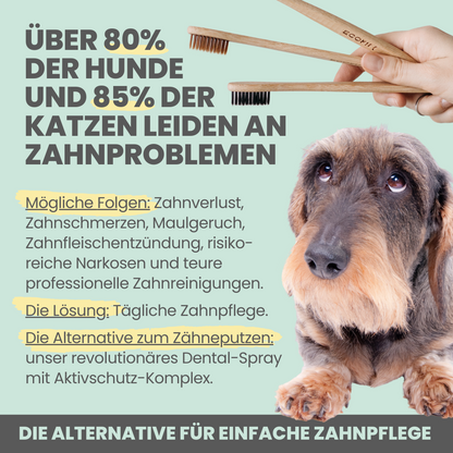 100ml Dentalspray bei Zahnstein für Hunde und Katzen [Jahresvorrat]