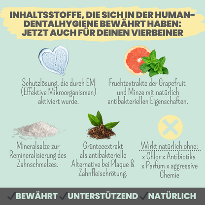 100ml Dentalspray bei Zahnstein für Hunde und Katzen [Jahresvorrat]