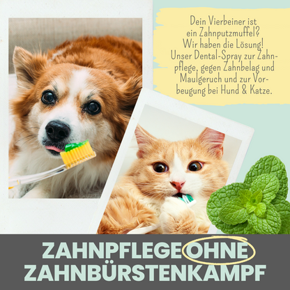 100ml Dentalspray bei Zahnstein für Hunde und Katzen [Jahresvorrat]