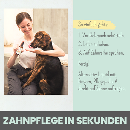 100ml Dentalspray bei Zahnstein für Hunde und Katzen [Jahresvorrat]